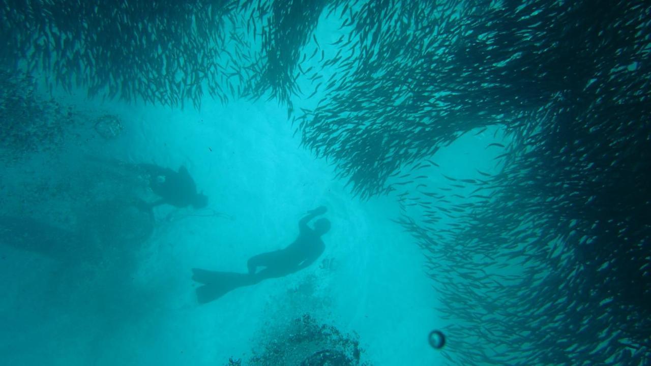 The Wild Orchid Resort - Moalboal Eksteriør bilde