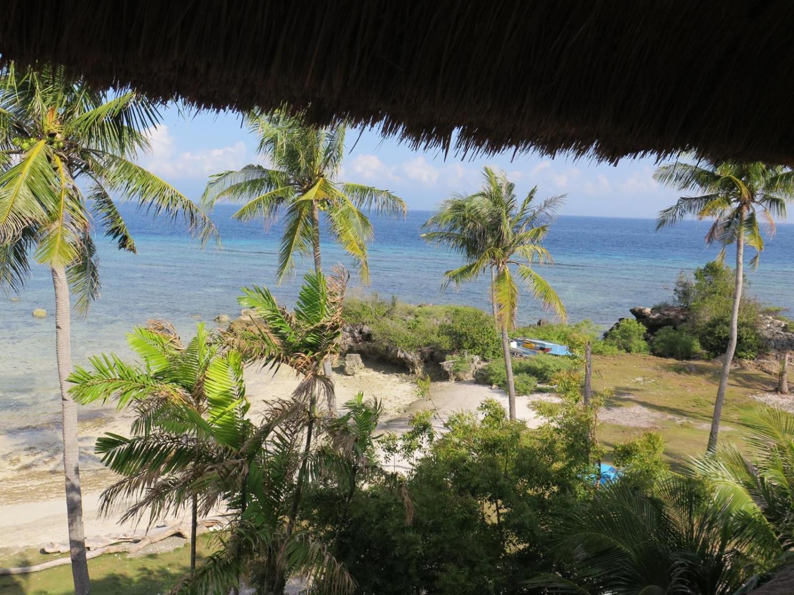 The Wild Orchid Resort - Moalboal Eksteriør bilde