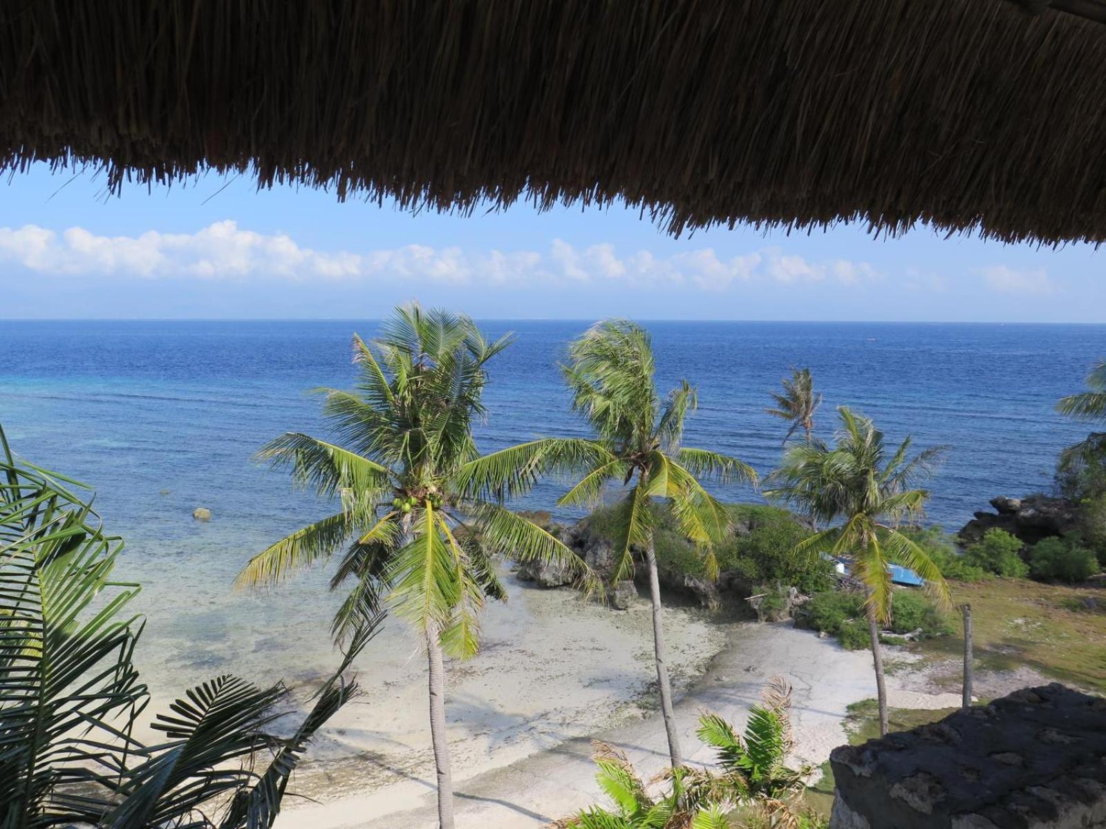 The Wild Orchid Resort - Moalboal Eksteriør bilde