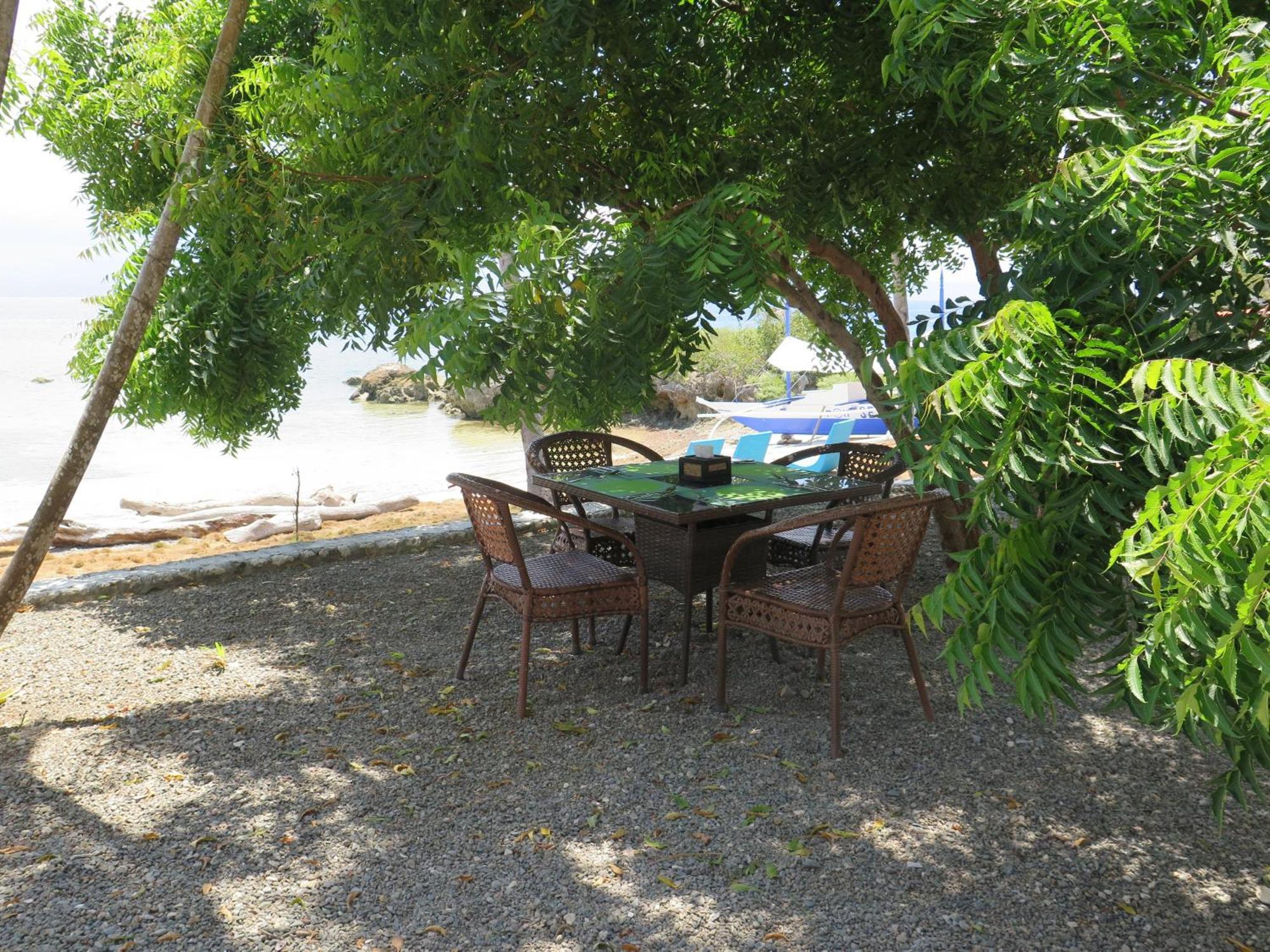 The Wild Orchid Resort - Moalboal Eksteriør bilde