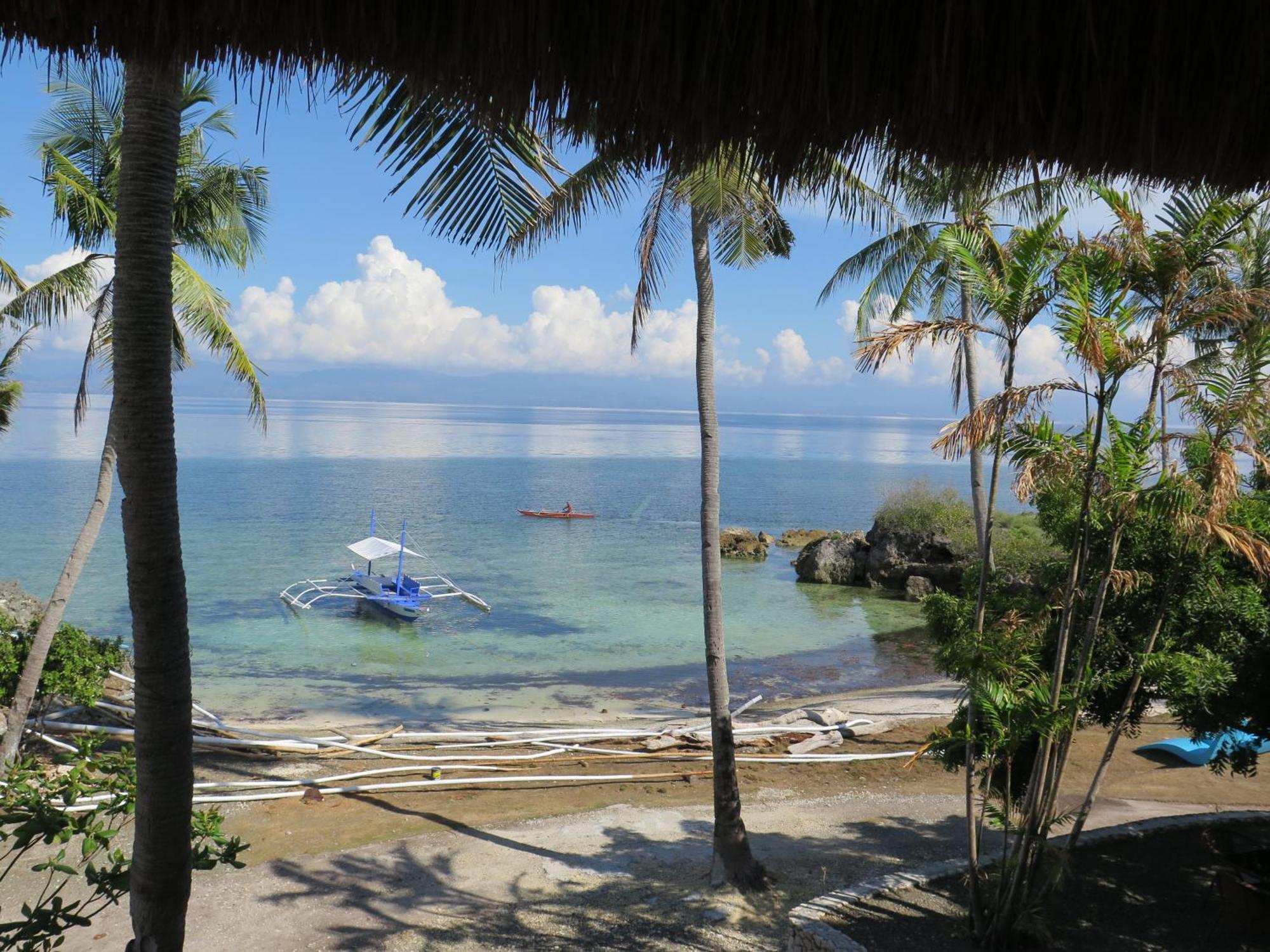 The Wild Orchid Resort - Moalboal Eksteriør bilde