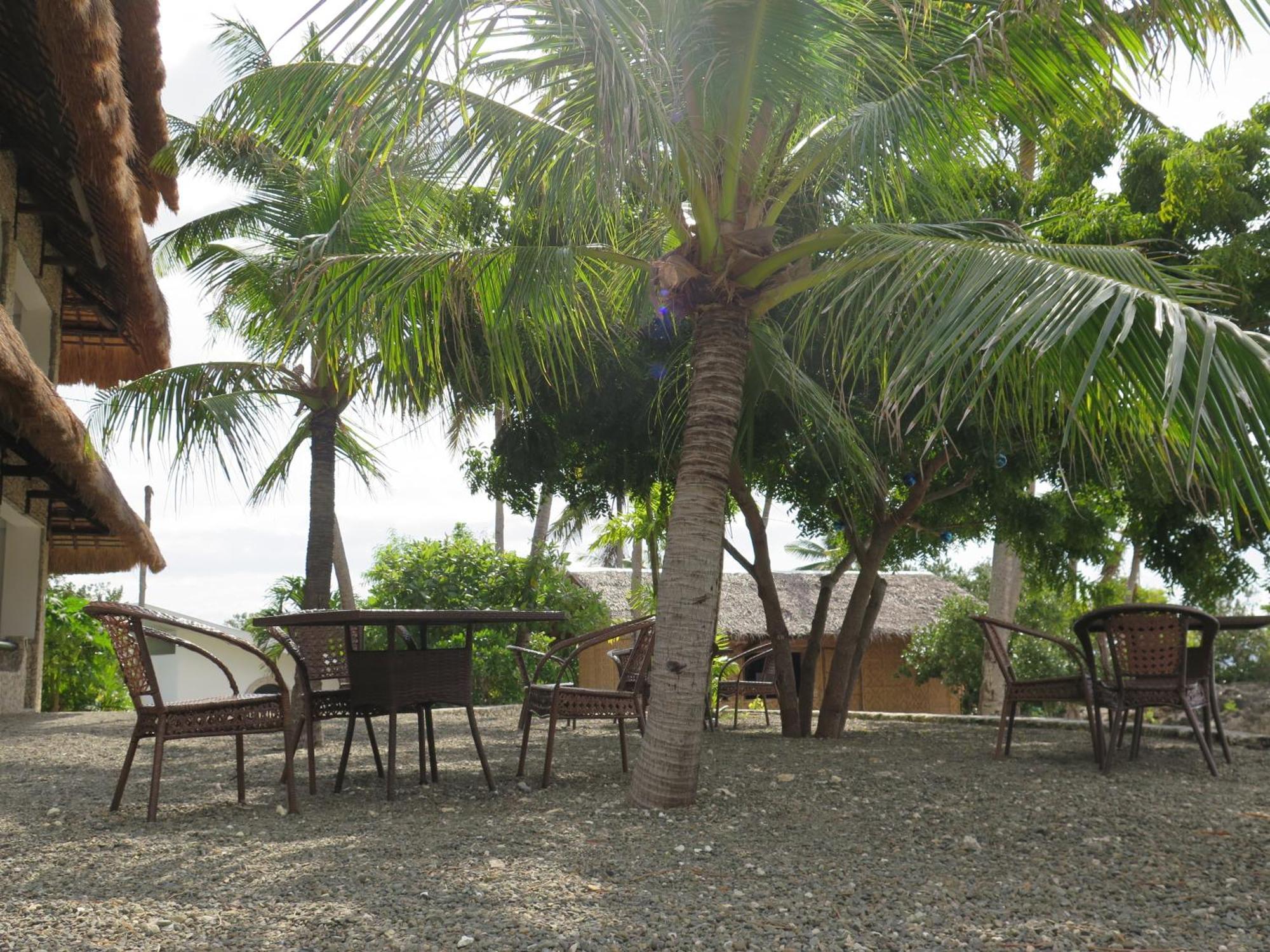 The Wild Orchid Resort - Moalboal Eksteriør bilde