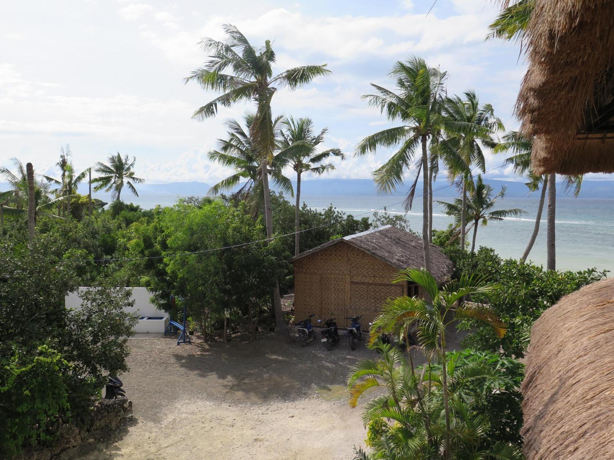 The Wild Orchid Resort - Moalboal Eksteriør bilde