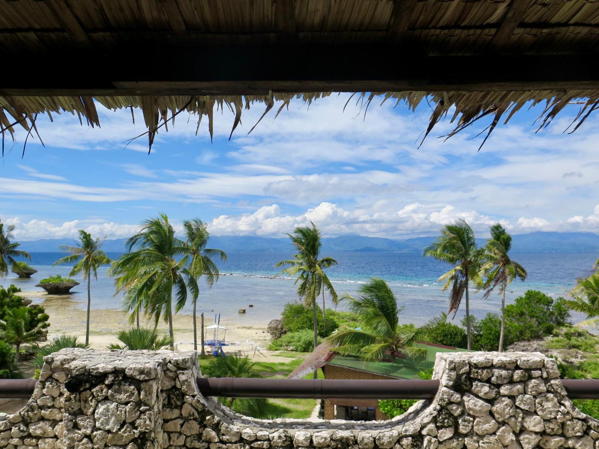 The Wild Orchid Resort - Moalboal Eksteriør bilde