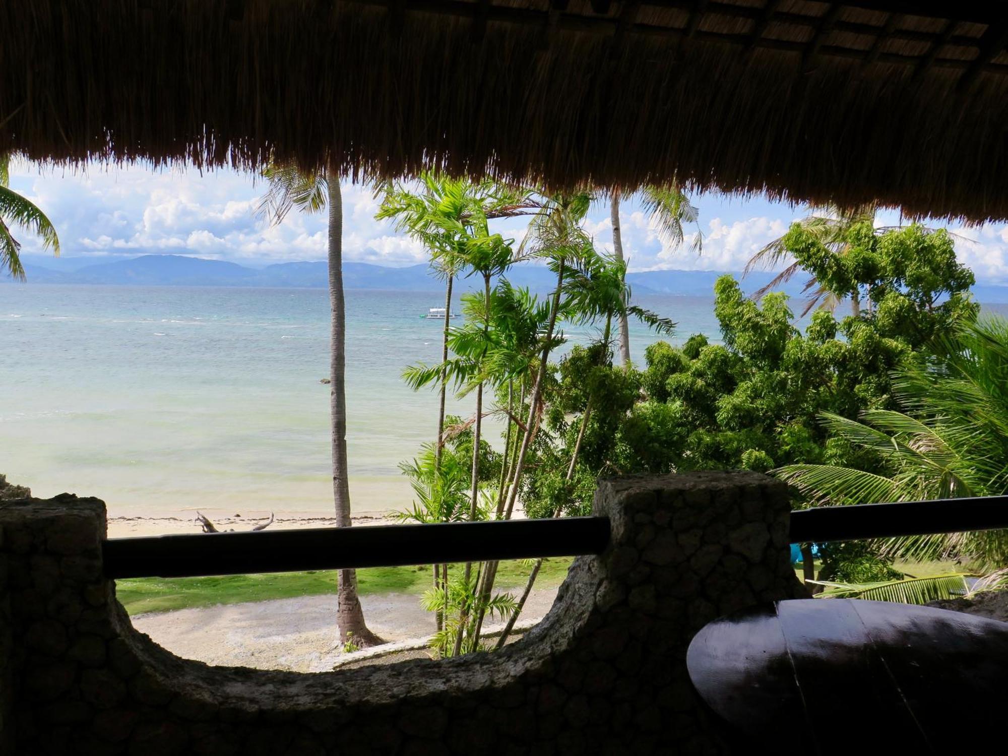 The Wild Orchid Resort - Moalboal Eksteriør bilde